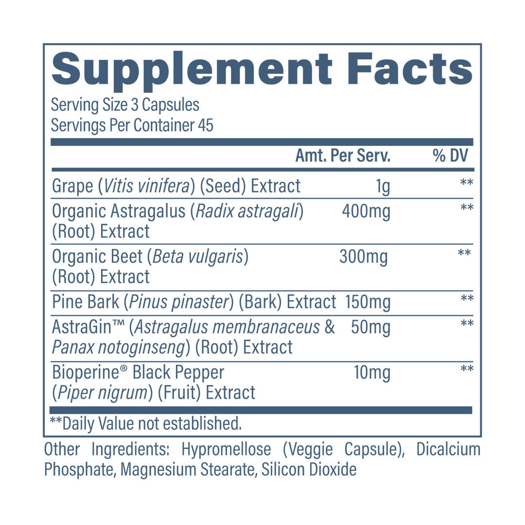 KIDNEY SUPPORT
