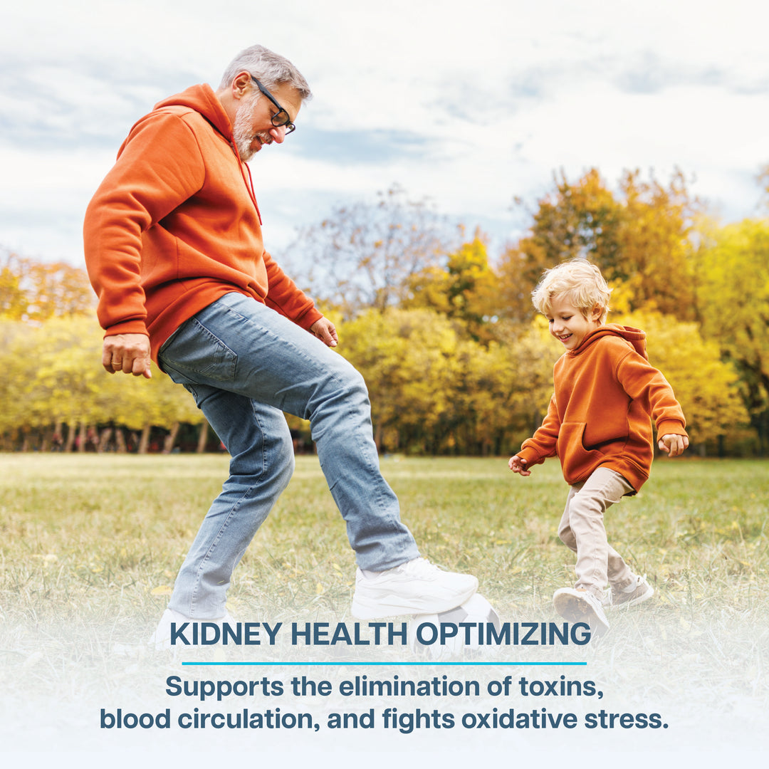 KIDNEY SUPPORT