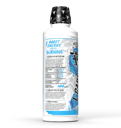 L-CARNITIINE 3000