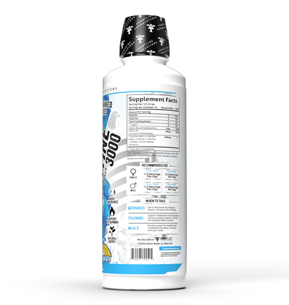 L-CARNITIINE 3000
