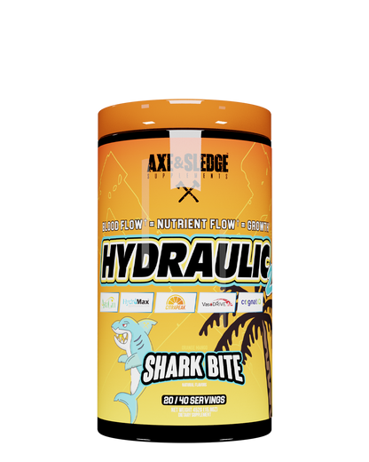 HYDRAULIC 2