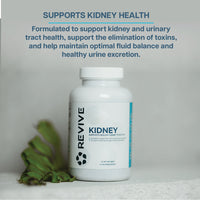 KIDNEY SUPPORT